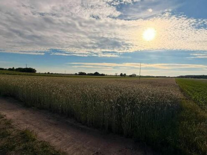 DZIAŁKA PIOTROWICE 54 ARY MPZP