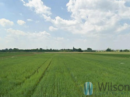 Działka budowlana Warszawa gm. Wilanów Wilanów, Strumień