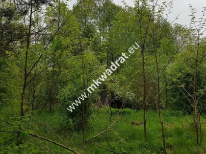 Korabiewice działka leśna