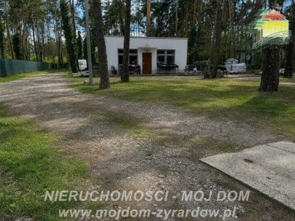Działka leśna Międzyborów gm. Jaktorów