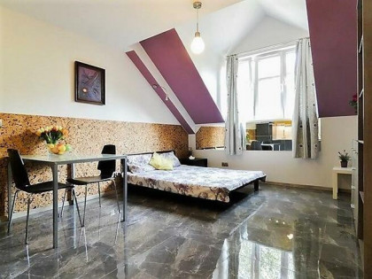Krasickiego 26, stylowa kawalerka pet friendly