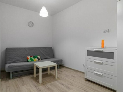 Duża kawalerka, 30 m2 - Chodkiewicza 2