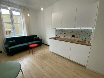 Studio obok Parku Wilsona - Strusia 11