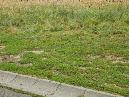 Działka budowlano-leśna Rybnik Boguszowice Stare