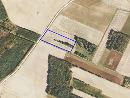 *Działka rolna 1,4 ha*Nowinka*gm. Szudziałowo*