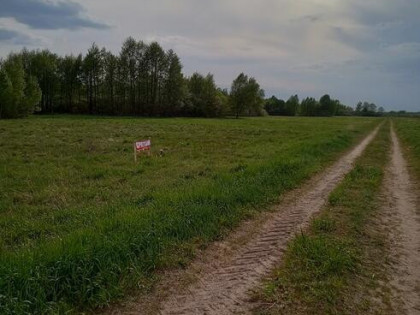 2300m2 Ploski działka budowl WZ wąska13m długa184m 666726744