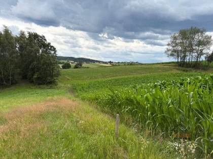 Działka rolna Wyźrał gm. Brzeźnica