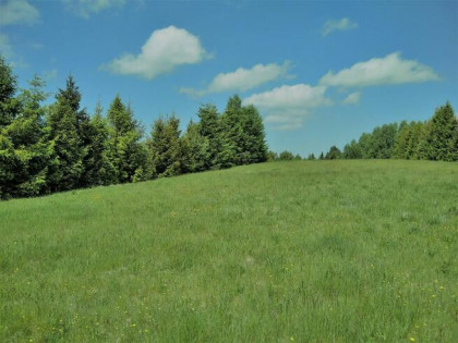 Sprzedam działkę 1000 m²
