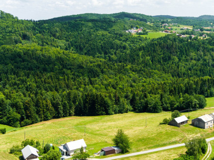 Działka rolno-leśna- Żurowa- Małopolska