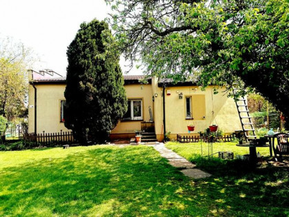 Dom na zielonej działce OKAZJA TANIO