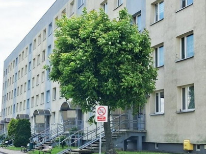 Parter-3 pokoje- Ks.Władysława-mieszkanie, gabinet, biuro
