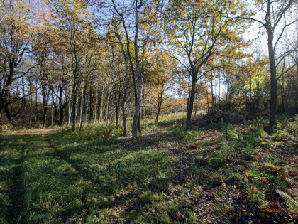 Działka budowlana- Koszyce Wielkie- Tarnów