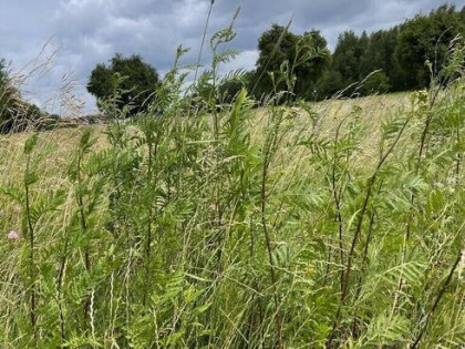 Działka przemysłowa 2270 m² z dojazdem asfaltowym