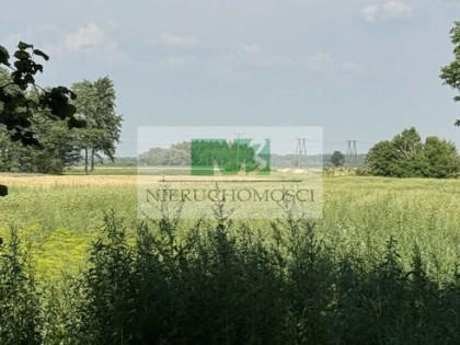 DO SPRZEDAŻY DZIAŁKA W PRZYCHOJCU