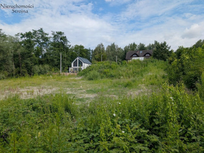 Działka Sygneczów