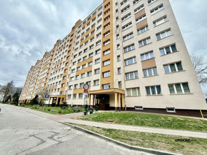 3 pokoje przy Politechnice Kielce Nowowiejska
