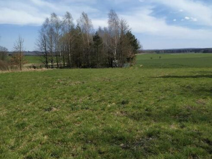Działka budowlana 3942 m², Myszków, spokojna okolica