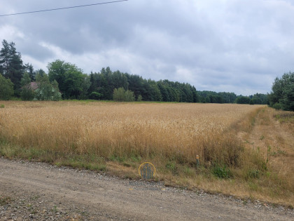 Działka Łucka-Kolonia ul.  
