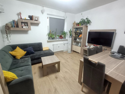 Mieszkanie trzy pokojowe na parterze