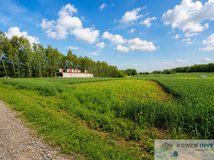 działka budowlana Bodzanów 610m2 przy lesie