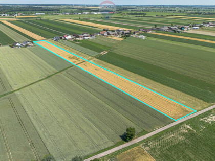 Grunty Rolne 5,80 Ha Magdalenki, Wlkp  Klasa III