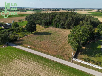 Działka rolna Marianów gm. Strzelce