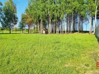 Działka budowlana Krynice gm. Dobrzyniewo Duże,