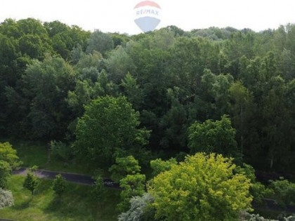 Na sprzedaż działka budowlana na Sołaczu