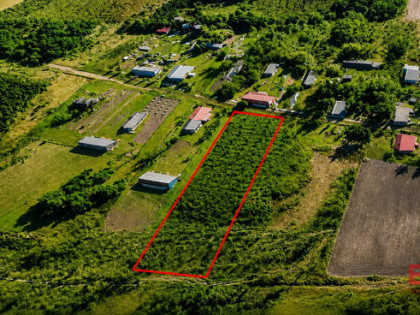 Działka budowlana Narew,