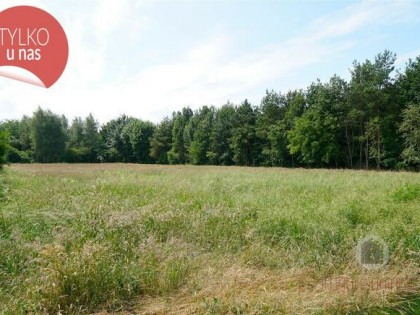 Zadrzewiony grunt rolny, 1,73 ha przeliczeniowych