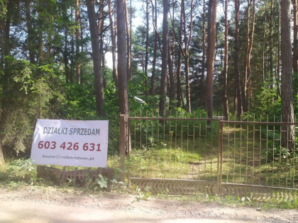 Działka w lesie.