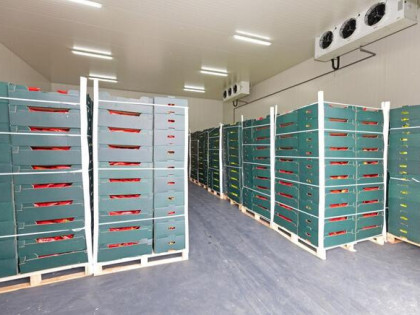 Chłodnia, magazyn 50-200 m² regały, wózek widłowy