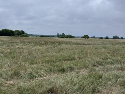 Działa rolna 3.58 ha - tylko 17 km od morza!