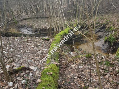 ⭐⭐⭐⭐2500 m2 urokliwa działka przy lesie z MPZP⭐⭐⭐⭐