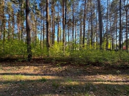 Działka budowlana Płońsk,