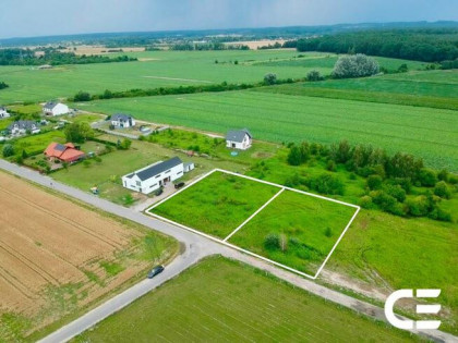 Pęgów | 2810 m² | Budowlana + siedliskowa