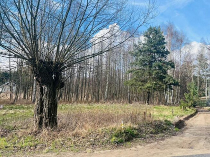 Działka nad jeziorem
