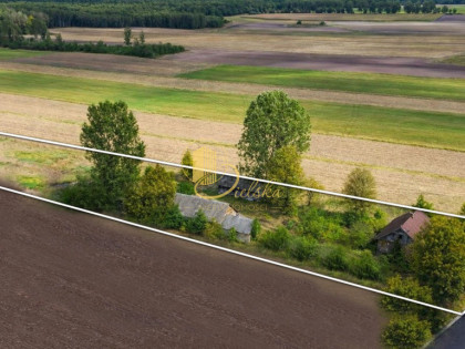 Stare siedlisko w Kozłowie  70/5000m2