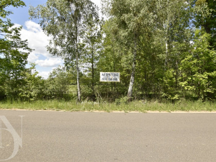 Działka Leśna