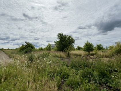 Wołczkowo | 805 m² | MPZP | Badania gruntu |