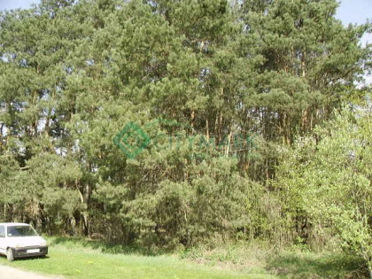 Działka Stary Gózd