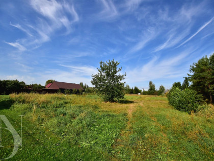 Działka Narew