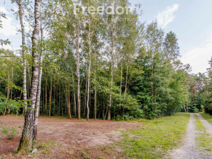 Twój rodzinny azyl pod lasem – Pogórska Wola!