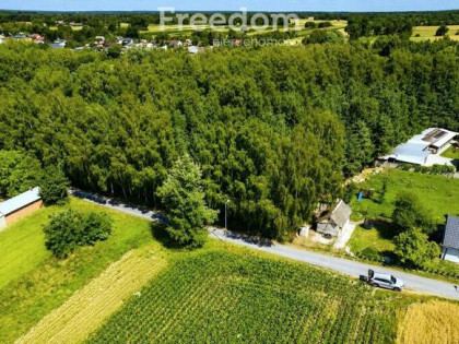 Działka budowlana 1000 m² | MPZP | 1,5 km Terespol