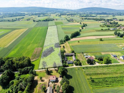 Na sprzedaż  działka 3,12 ha w otulinie Parku