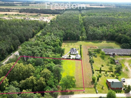 Działka budowlana z własnym lasem | 5804 m² | Hola
