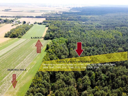 Inwestycja w dojrzały las sosnowy 1,85 ha budulec