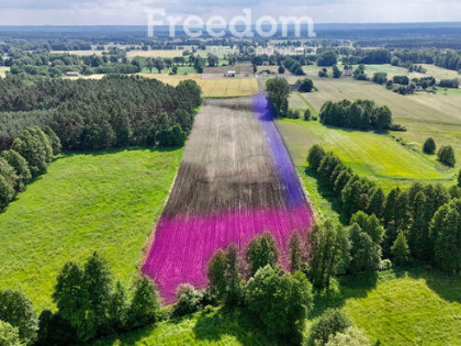 Malownicza działka budowlana w zacisznej okolicy