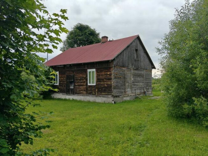 Syndyk sprzeda - Nowy Szczeglin