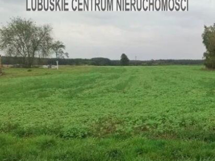 DZIAŁKA Ściechów zabudowa mieszkaniowa